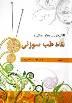 کانال های نیروهای حیاتی و نقاط طب سوزنی